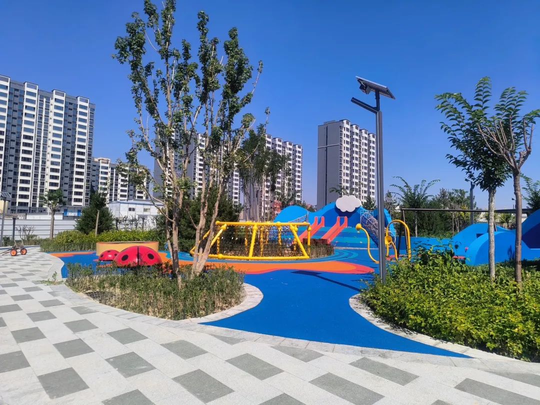 陕西榆林： 打造宜居城市 焕发城市魅力(图3)