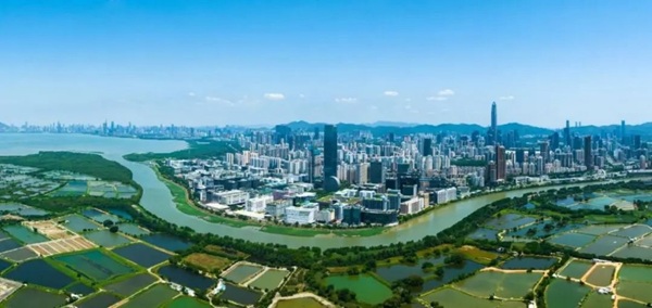 2024年深圳国资国企以新质生产力持续赋能高质量发展(图3)