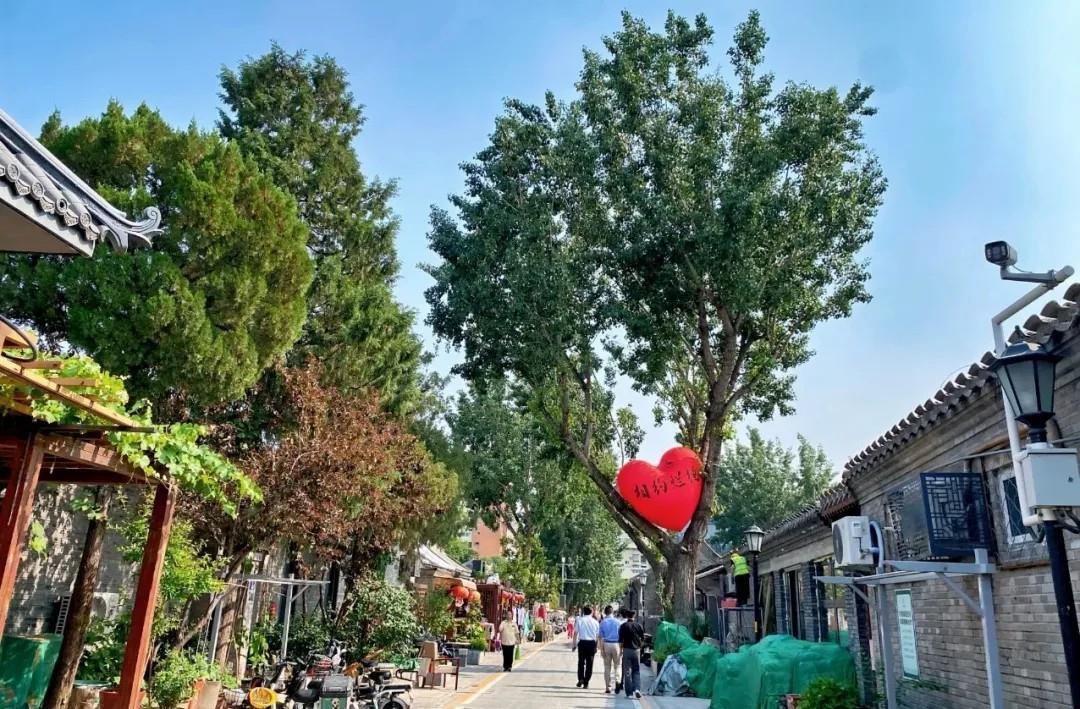 城市更新进行时：旧空间里的新天地(图15)
