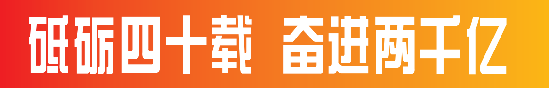 潮涌郪江四十载 奋楫扬帆谱新章——遂宁建市四十周年之大英县发展纪实(图8)