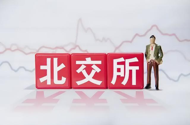 【犀说北交所】智新电子：深耕连接器线缆组件开拓储能领域业务(图1)