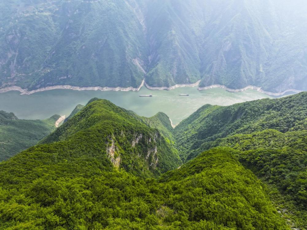 筑牢长江上游重要生态屏障 长江出境水质优于入境——重庆勇当绿色发展“示范生”(图1)