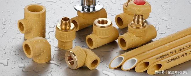 典塑管道 2024 中国管业十大品牌分水器、阀门、五金、ppr管(图2)