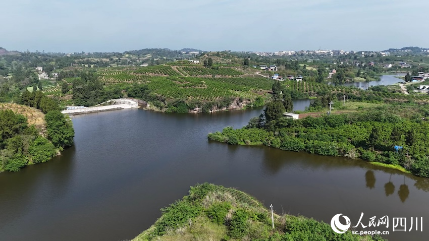 用心貼近群眾以“網”為民服務(图2)