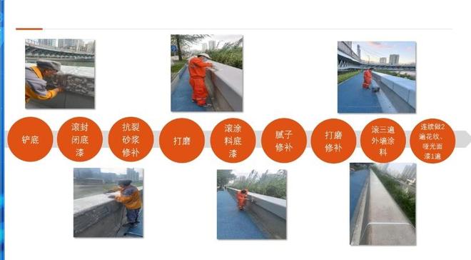 秋高气爽静宝与你相约漫步苏州河畔这段“获奖”岸线→(图2)