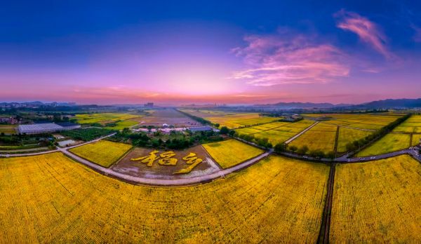 海阔风正好扬帆广州“百千万工程”行在前(图4)